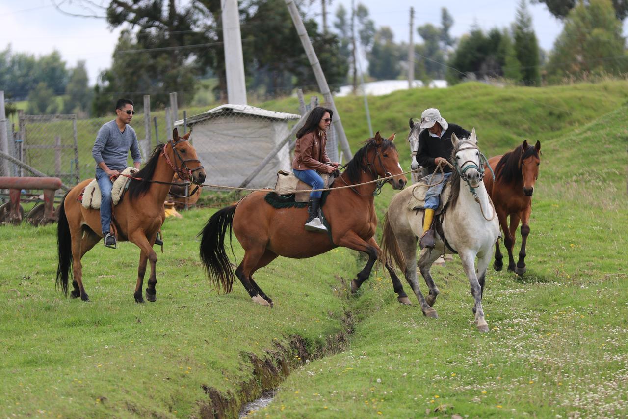 Hosteria Loma Larga Cayambe Extérieur photo