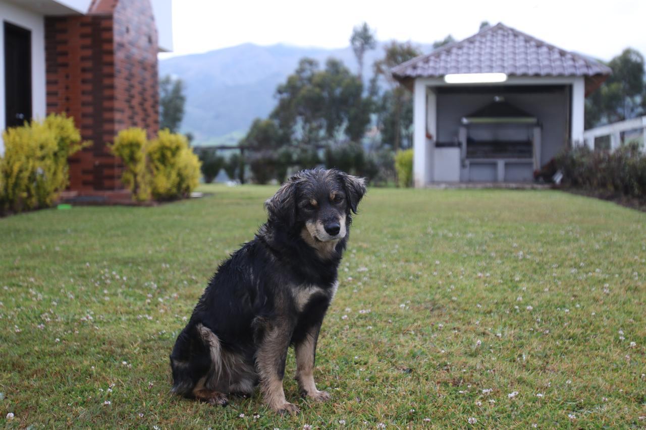 Hosteria Loma Larga Cayambe Extérieur photo